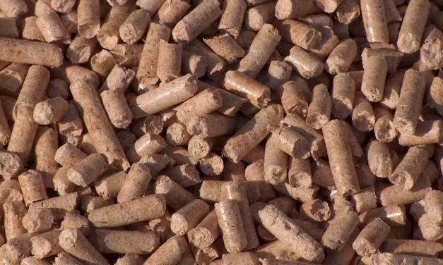 Another Big Step Closer to the RHI for domestic premises